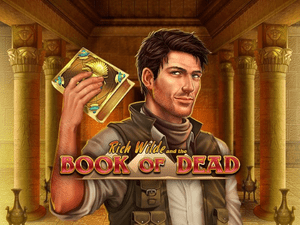 Banner of Book of Dead game