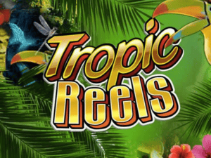 Banner of Tropic Reels by Playtech