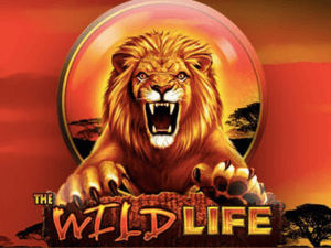 Logo of The Wild Life Slot