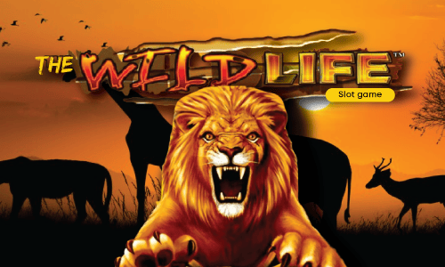 The Wild Life slot game promotional graphic with roaring lion and African savanna backdrop