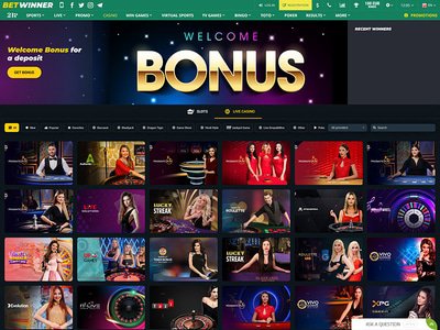 Bet Winner Casino website