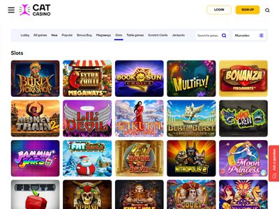 Cat Casino website