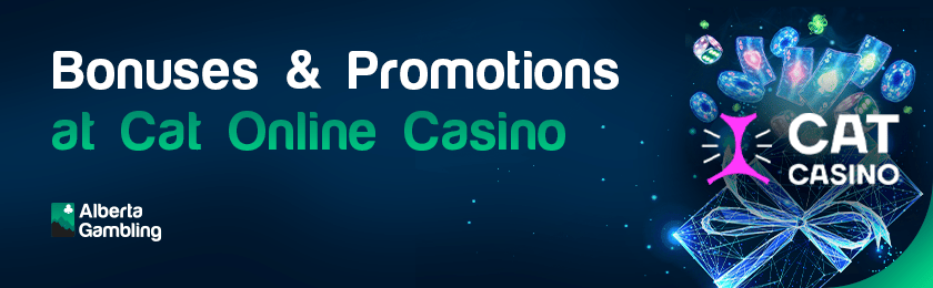 Different gaming items with a casino logo for Cat Casino bonuses and promotions