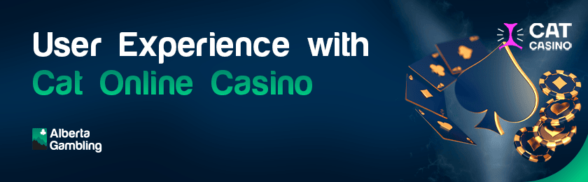 A deck of card and casino chips for experiencing excellence with Cat online casino