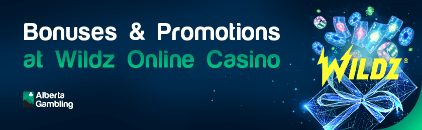 Different gaming items with a casino logo for Wildz Casino bonuses and promotions