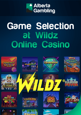 Wildz Casino gaming library with their logo for different game selection